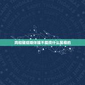 鸡和猪结婚伴娘不能找什么属相的，新郎新娘都属鸡，伴郎伴娘什么属相的不能