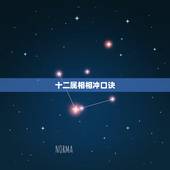 十二属相相冲口诀，十二生肖刑冲克害口诀
