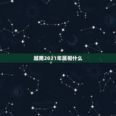 越南2021年属相什么，2021年属什么生肖？