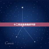 十二月出生的兔好不好，生辰八字怎么算出来的