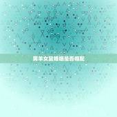 男羊女鼠婚姻是否相配，男属羊和女属鼠相配吗