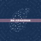 属猴人在虎年的运势运程，猴人遇虎年2022运势如何