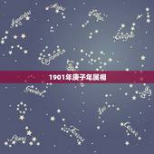 1901年庚子年属相，属相年份