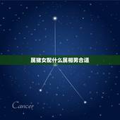 属猪女配什么属相男合适，属猪的女人和什么属相最配