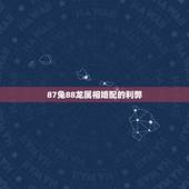 87兔88龙属相婚配的利弊，87年男兔和88年女龙相配吗