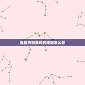 属鼠的和属鸡的婚姻怎么样，1972年属鼠2022 年运势