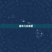 属牛几月命苦，属牛的生在几月好