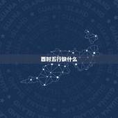 酉时五行缺什么，酉时出生的女孩富贵命