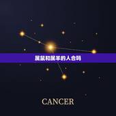 属鼠和属羊的人合吗，属牛和属羊的人合婚吗