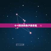 十一月份的兔子很命苦，几月出生的属兔是富贵命