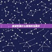 属鼠的戴什么属相的玉最好，十二生肖属鼠的人戴什么玉器好