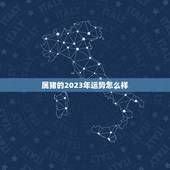 属猪的2023年运势怎么样，2023年属猪是什么命运