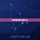 虎在易经五行属什么，虎是什么命五行属什么