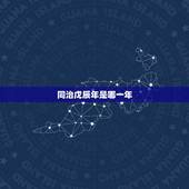 同治戊辰年是哪一年，同治辛未年是哪一年