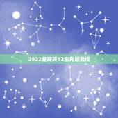 2022麦玲玲12生肖运势虎，香港七星堂2022 年生肖运程