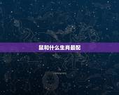 鼠和什么生肖最配，属鼠的和什么属相最配