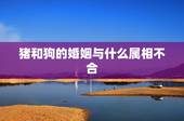 猪和狗的婚姻与什么属相不合，属狗的和属猪的合不合