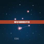 猴与马属相合不合，属猴的和属马的相配吗