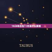 1928年出生11月是什么属相，农历1928年一月十一日是什么星座