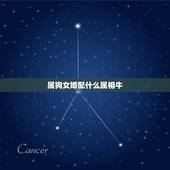 属狗女婚配什么属相牛，属狗的女性跟什么属相婚配最好？