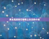 男主是高官已婚看上女主的小说，男主是高官，女主是男主的情人，男主很爱女