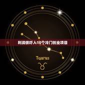 利润很吓人10个冷门创业项目 最容易起步的创业项目