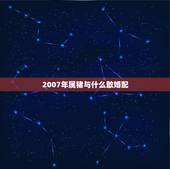 2007年属猪与什么敢婚配，属猪的和什么属相最配