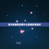 属马和属蛇的要什么属相的宝宝好，属马属蛇夫妻要什么属相孩子好