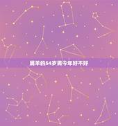 属羊的54岁男今年好不好，属羊人的婚姻与命运如何