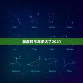 属虎的今年多大了2021，属虎的2021年多大年龄？