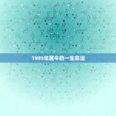1985年属牛的一生命运 1985在2022年感情婚姻