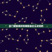 名门望族美好的婚配由什么决定的，飞刀又见飞刀的张家是什么名门望族
