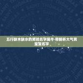 五行缺木缺水的男孩名字属牛 带解析大气男宝宝名字
