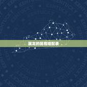 属龙的属相婚配表，属相婚配：属龙的和同属相的结婚？