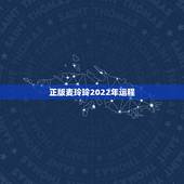 正版麦玲玲2022年运程，2022年运势12生肖运势详解