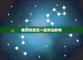 属狗和龙在一起财运好吗，2022年财运大翻身的生肖