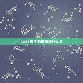 2021属牛的宝宝是什么命，2021年出生的牛宝宝是什么命