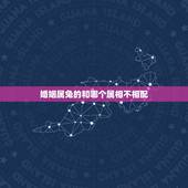 婚姻属兔的和哪个属相不相配，1992属猴的属相婚配表
