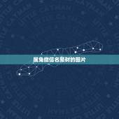 属兔微信名聚财的图片，最吉利旺财的微信名