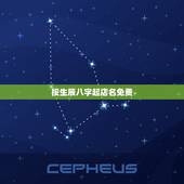 按生辰八字起店名免费，根据生辰八字起店名