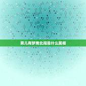 男儿有梦南北闯是什么属相，男人生肖有哪些
