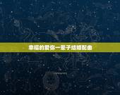 幸福的爱你一辈子结婚配曲，婚礼背景音乐