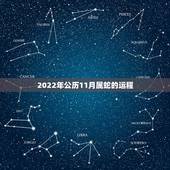 2022年公历11月属蛇的运程，77年属蛇男2022 年每月运势