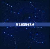 属猴婚配属相更好，94年属狗男孩子婚配表