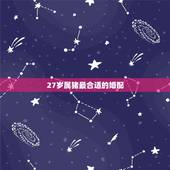 27岁属猪最合适的婚配，96年猪和什么属相最配