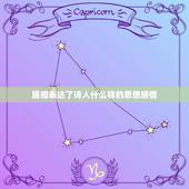 属相表达了诗人什么样的思想感情，属相 杜甫全诗的感情基调是什么