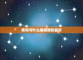 男狗与什么属相婚配最好，属狗男和什么属相的女性结婚最合适