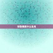 弥勒佛属什么生肖，大肚弥勒佛是什么生肖守护神