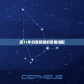 属73年的属相猪的属相婚配，猪和什么属相最配？