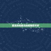 属龙的和属马的婚姻好不好，属龙与属马的婚姻好么